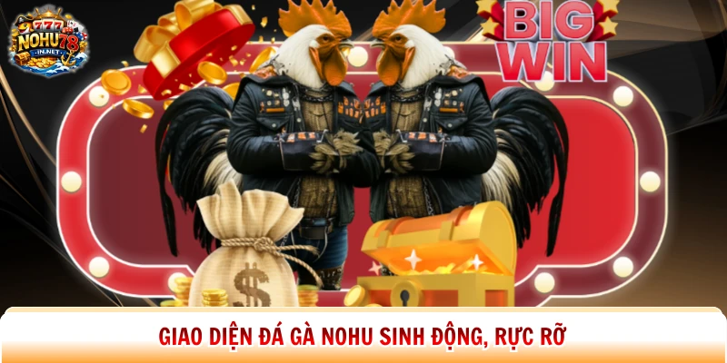 Giao diện đá gà Nohu sinh động, rực rỡ