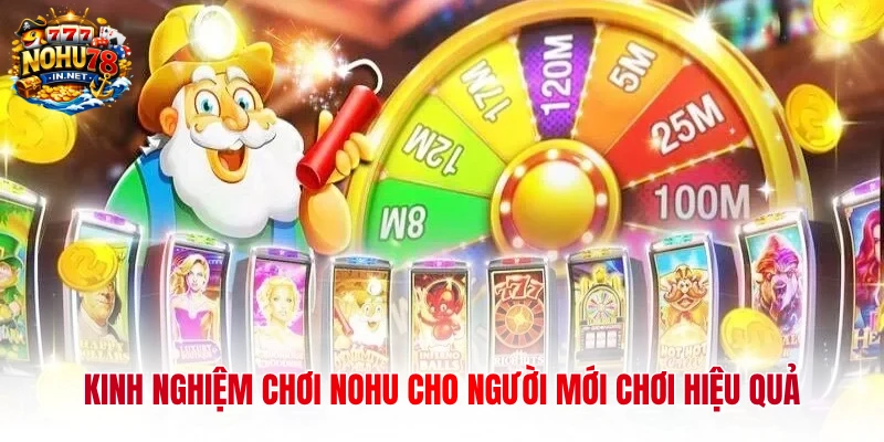 Kinh nghiệm chơi NOHU cho người mới chơi hiệu quả